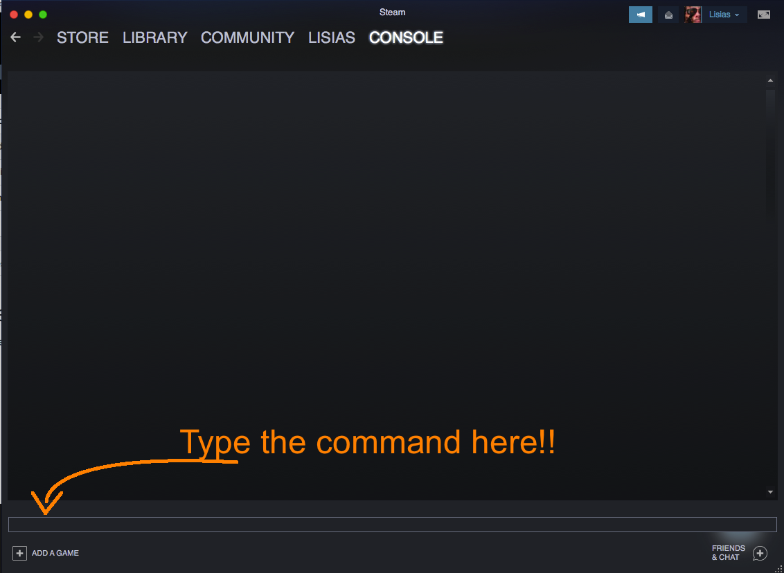 Steam Console Window